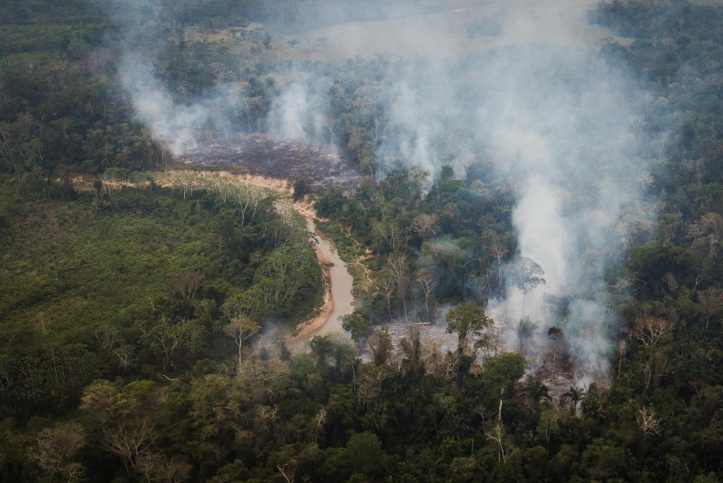 Amazônia em Chamas: filha de Chico Mendes lidera “empates” contra as  queimadas - Amazônia Real